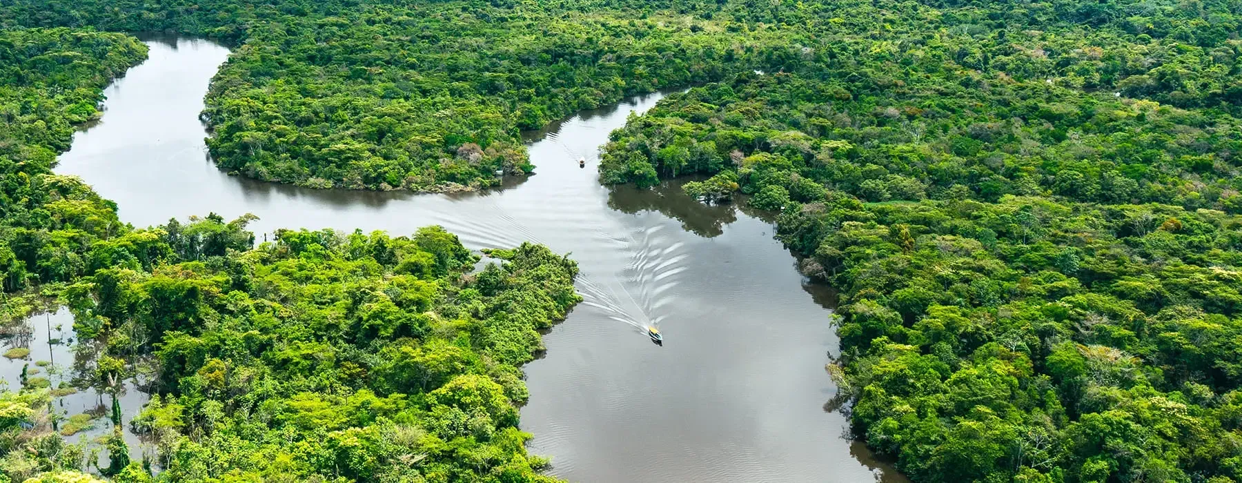 Selva del Manu 4 días / 3 noches
