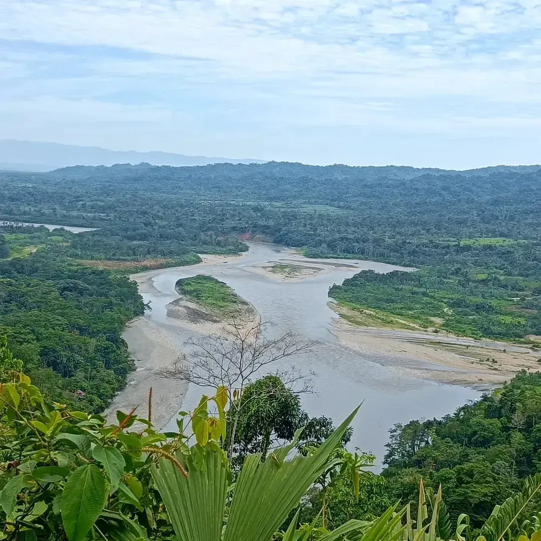 Selva del Manu 3 días / 2 noches