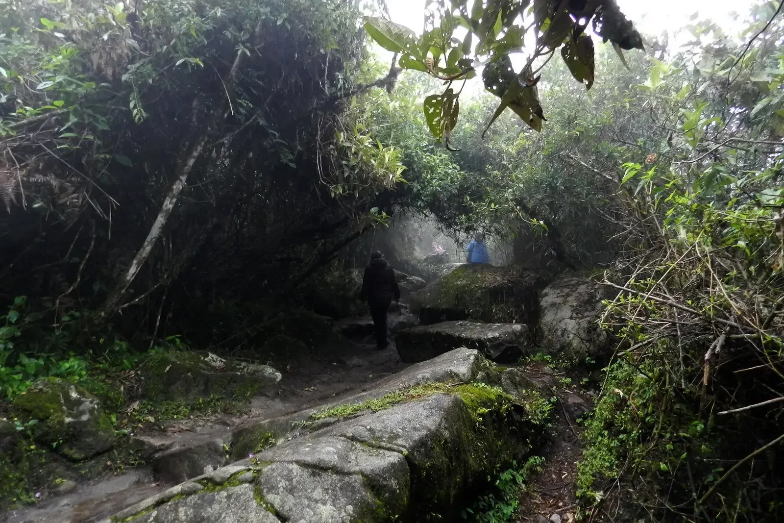 Camino Inca