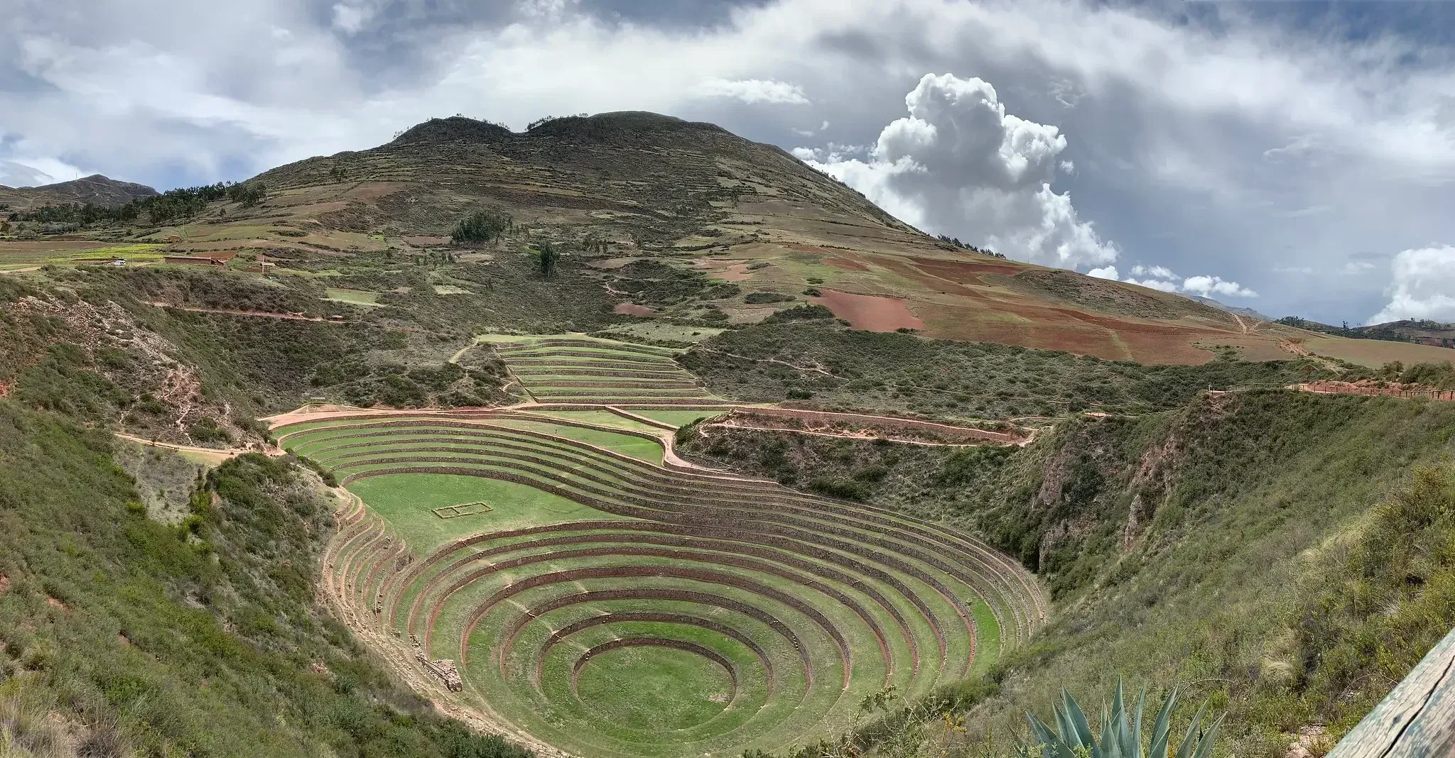 Moray